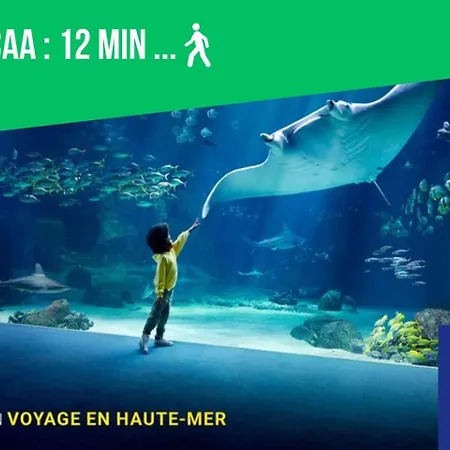 Апартаменты L'appart Eleve Idealement Situe