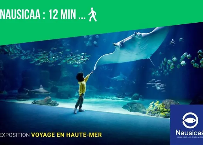 Apartment L'appart Eleve Idealement Situe